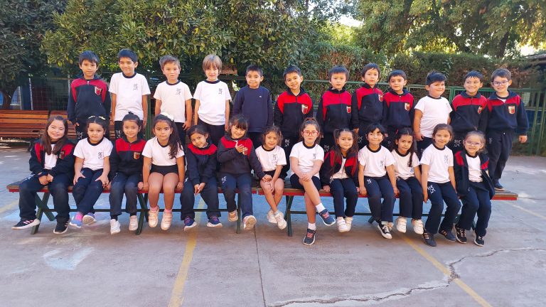 kinder 3